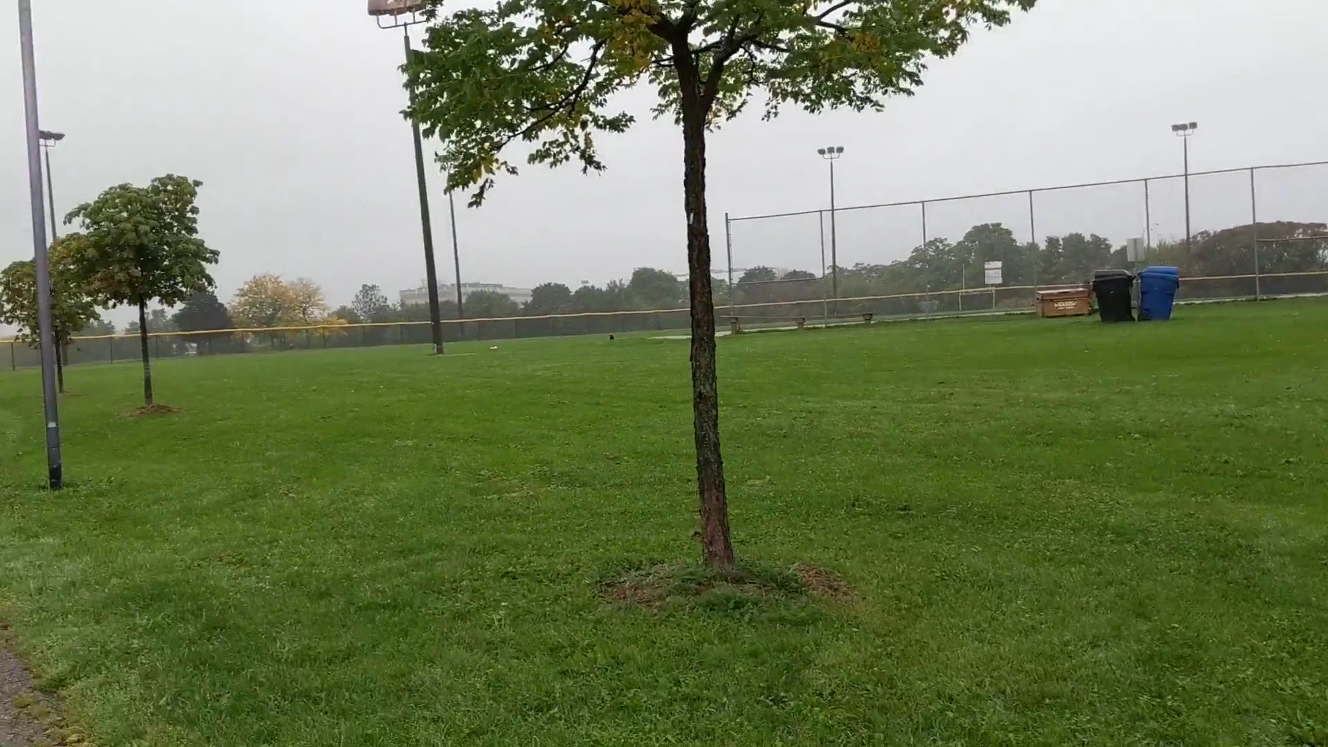 Pickleball play at Baycrest Park, Toronto