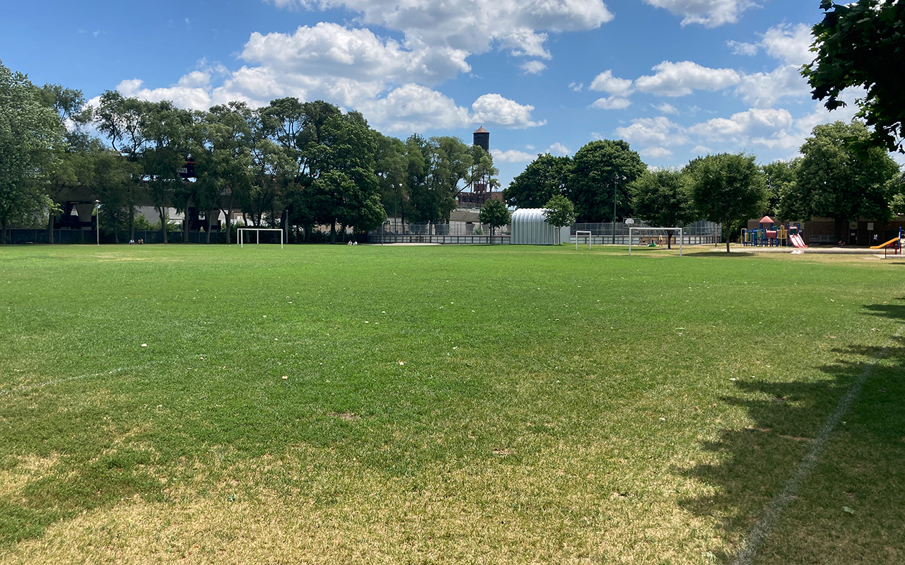 Outdoor pickleball courts at Campbell Avenue Park — City of Toronto park facility