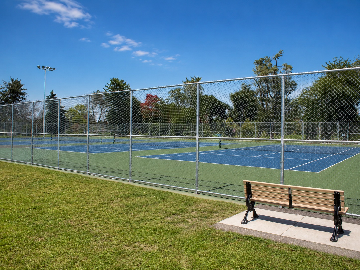 Outdoor pickleball courts at Cedarvale Park — empty court overview, Toronto