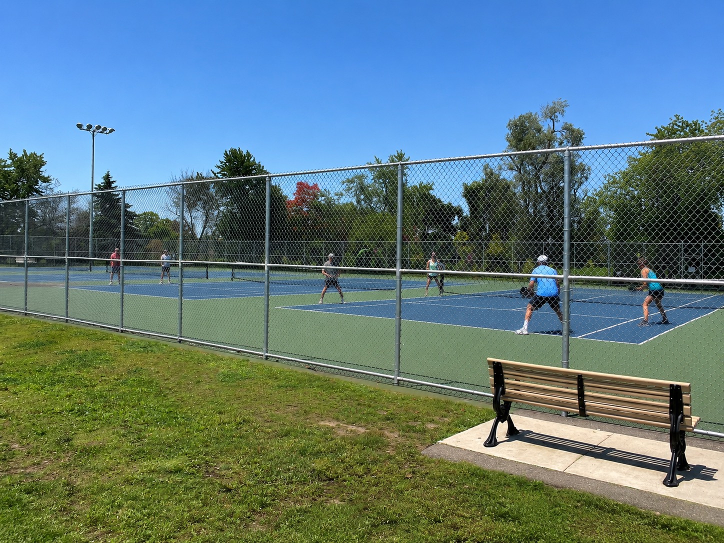 Pickleball play at Cedarvale Park, Toronto