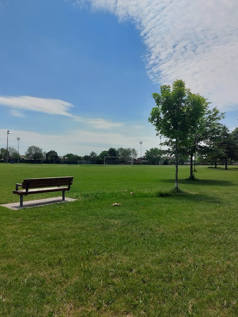 Outdoor pickleball courts at Firgrove Park — empty court overview, Toronto