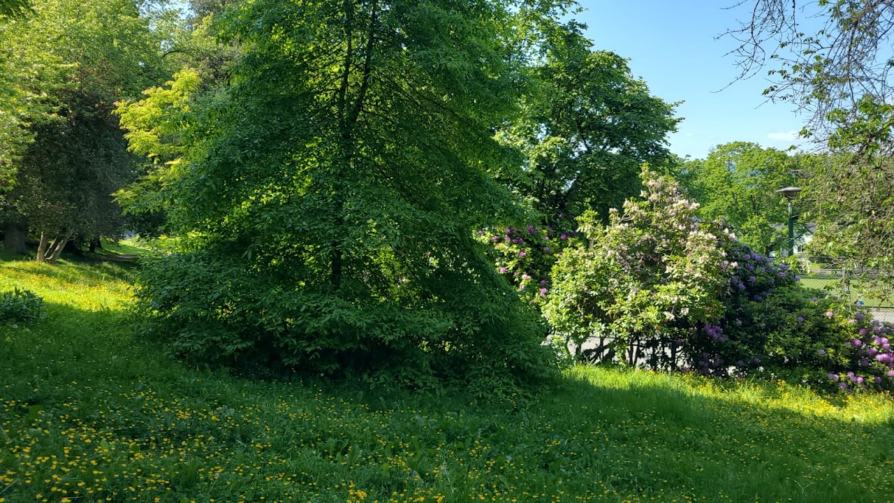Almond Park, Vancouver — additional view via Google Maps