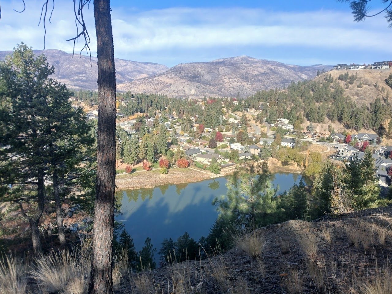 Blair Pond Park, Kelowna — photo via Google Maps