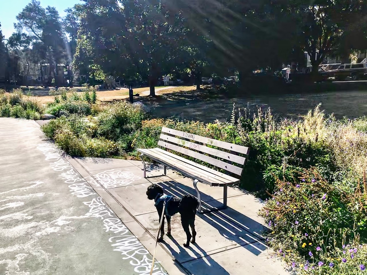 Cedar Cottage Park — Pickleball, Vancouver — additional view via Google Maps