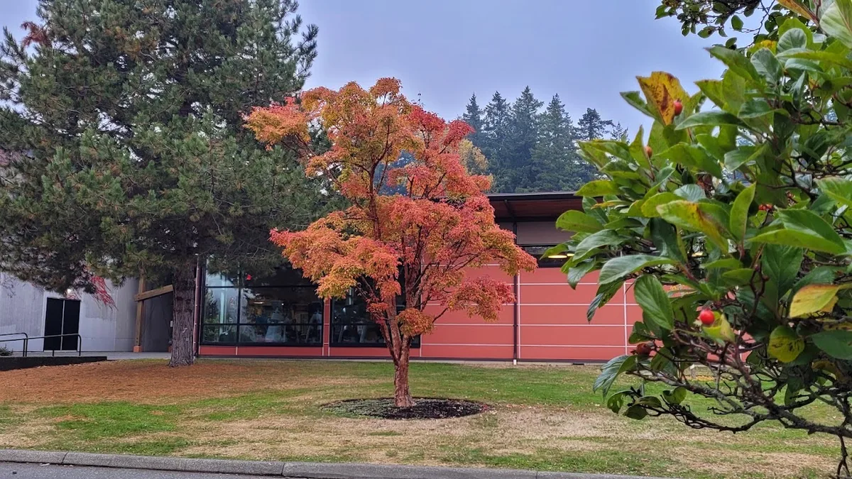 Comox Community Centre, Comox — photo via Google Maps