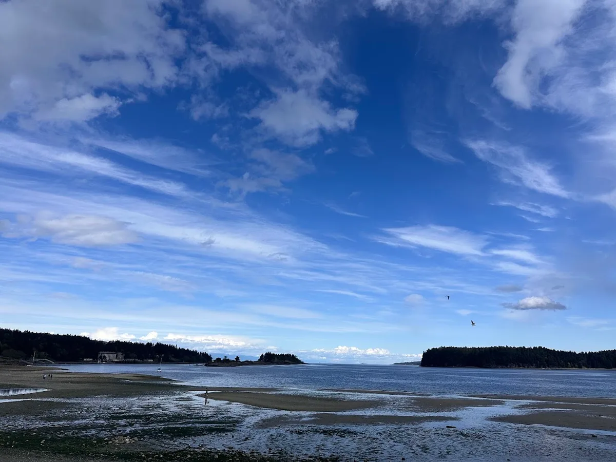 Departure Bay Centennial Park, Nanaimo — photo via Google Maps