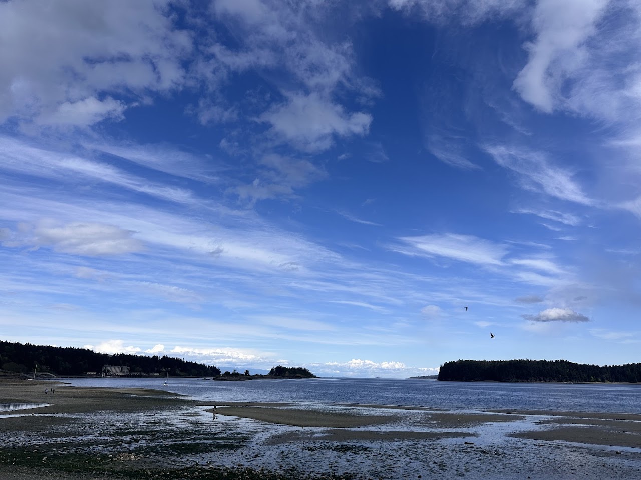 Departure Bay Centennial Park, Nanaimo — photo via Google Maps