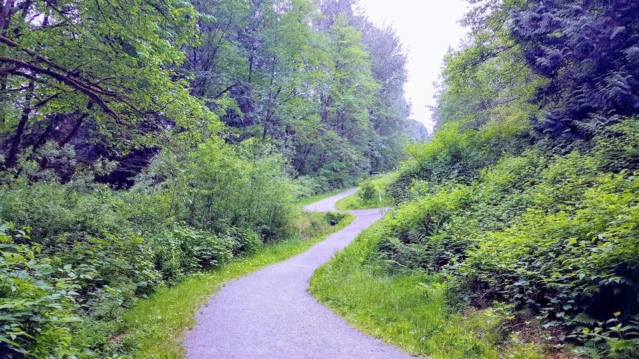 East Grove Park, Burnaby — photo via Google Maps