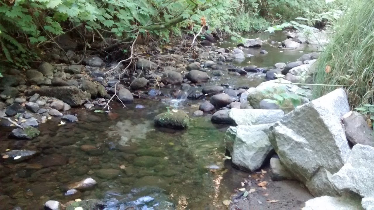 East Grove Park, Burnaby — additional view via Google Maps