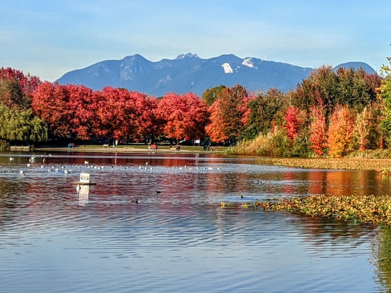 John Hendry (Trout Lake) Park, Vancouver — photo via Google Maps