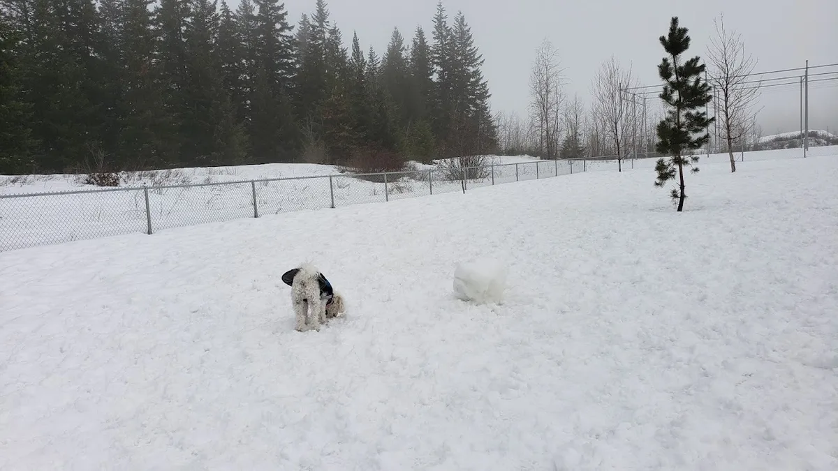 Klahani Park, Salmon Arm — photo via Google Maps