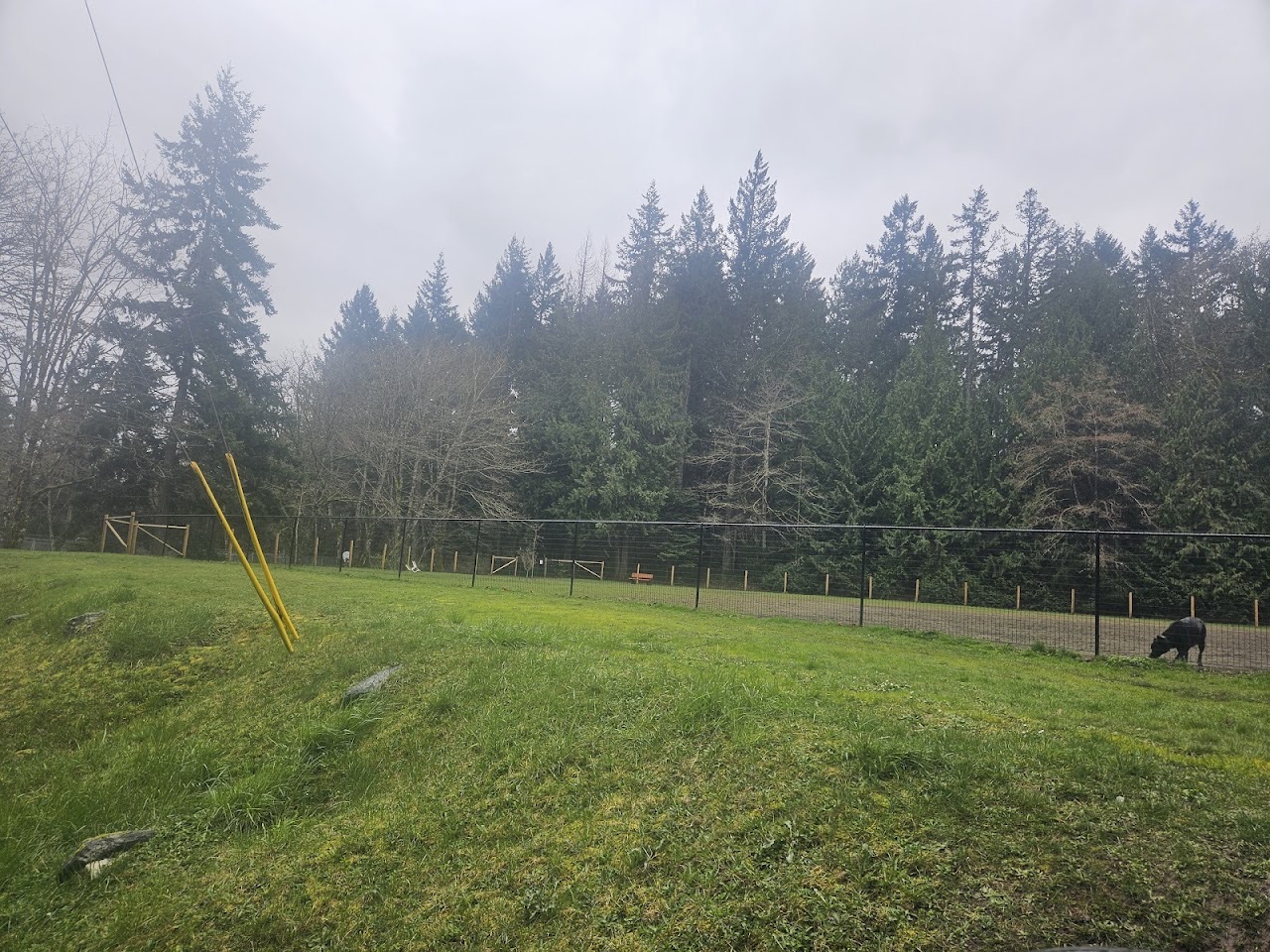Maple Bay - Herd Road, Duncan — photo via Google Maps
