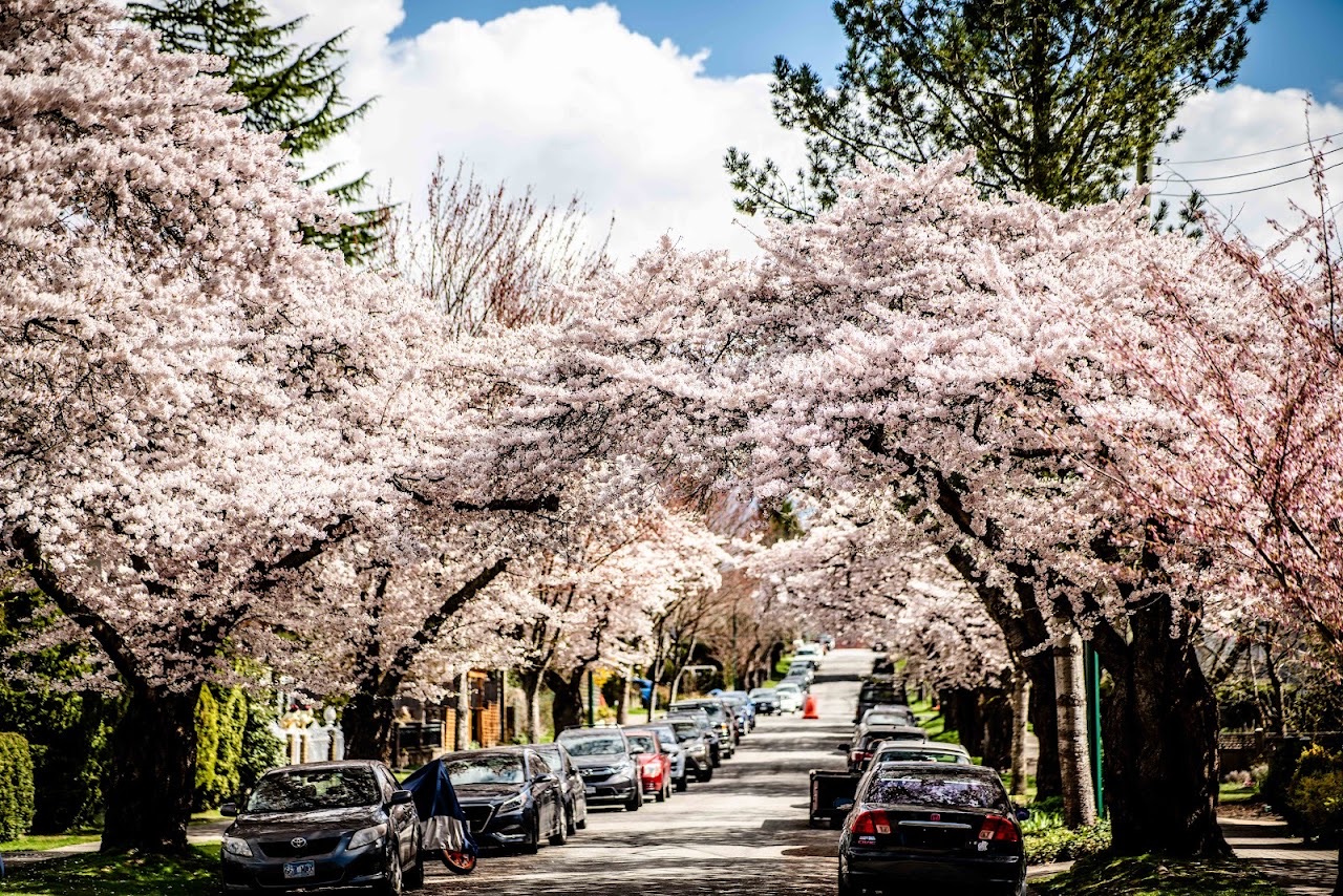Oak Park, Vancouver — photo via Google Maps