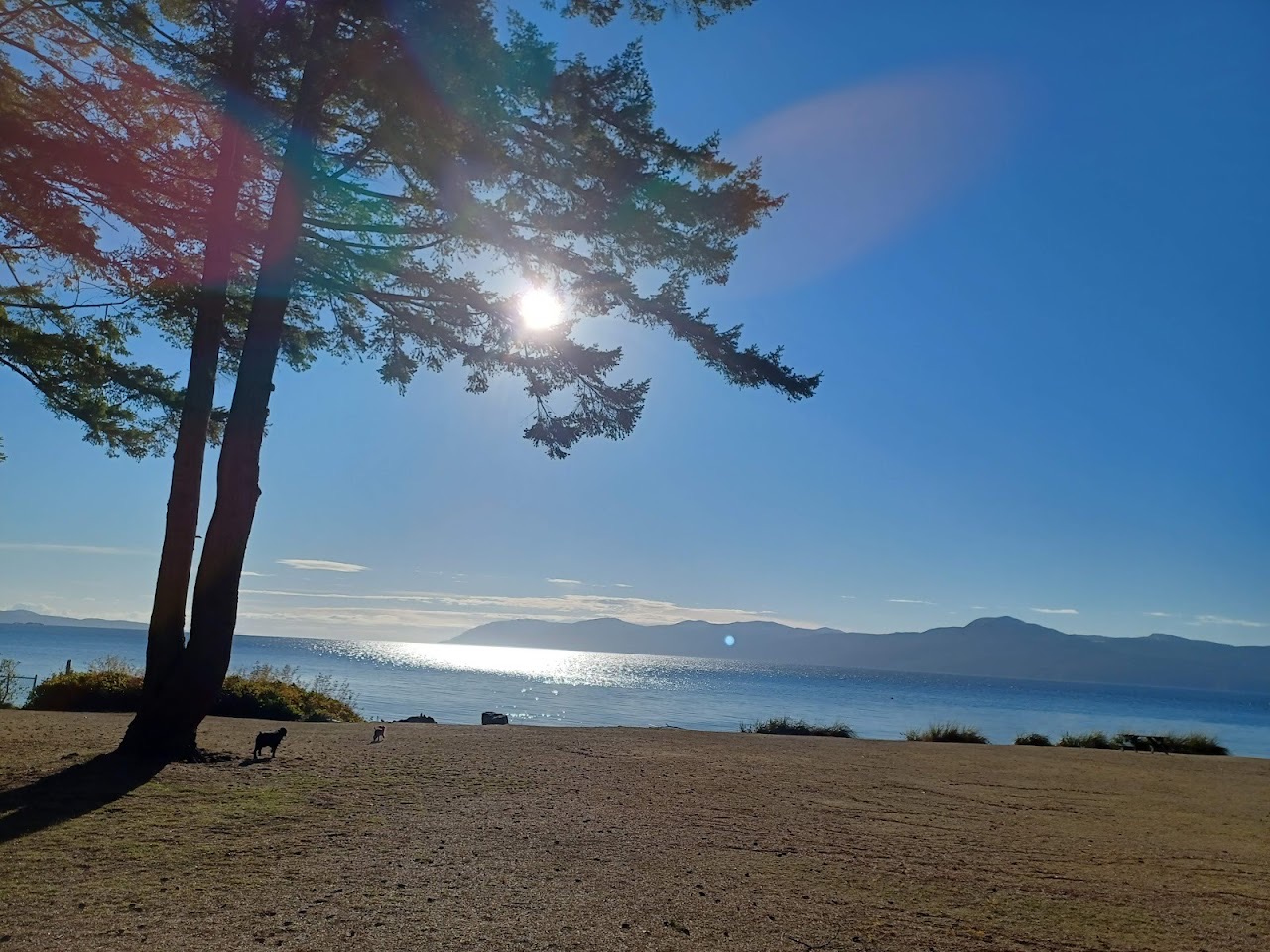 Palm Beach Regional Park, Powell River — additional view via Google Maps