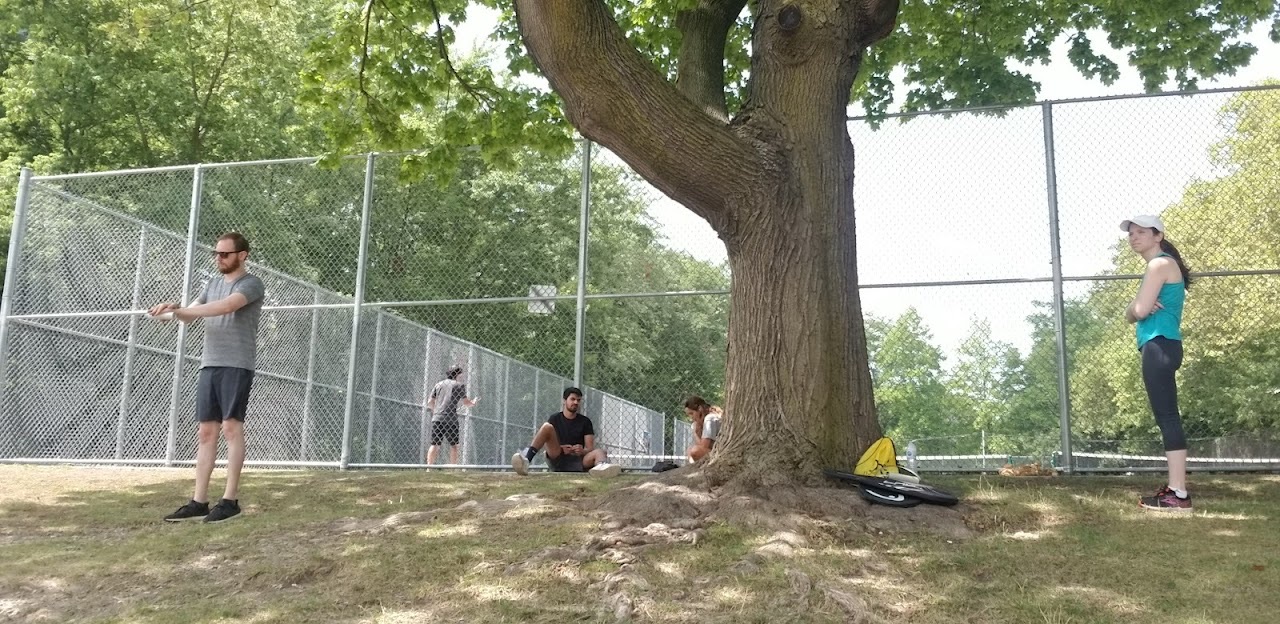 Players with paddles at the Ramsden Park courts, Toronto — photo via Google Maps