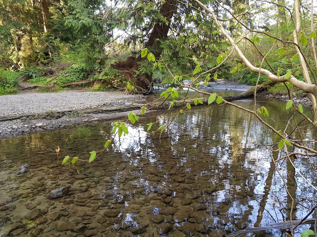 Stoney Creek Park, Burnaby — additional view via Google Maps