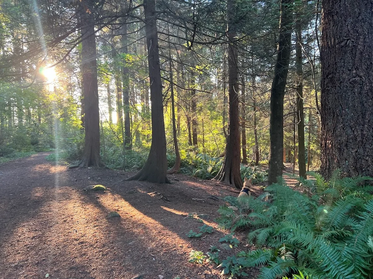 Tempe Heights Park, North Vancouver — photo via Google Maps