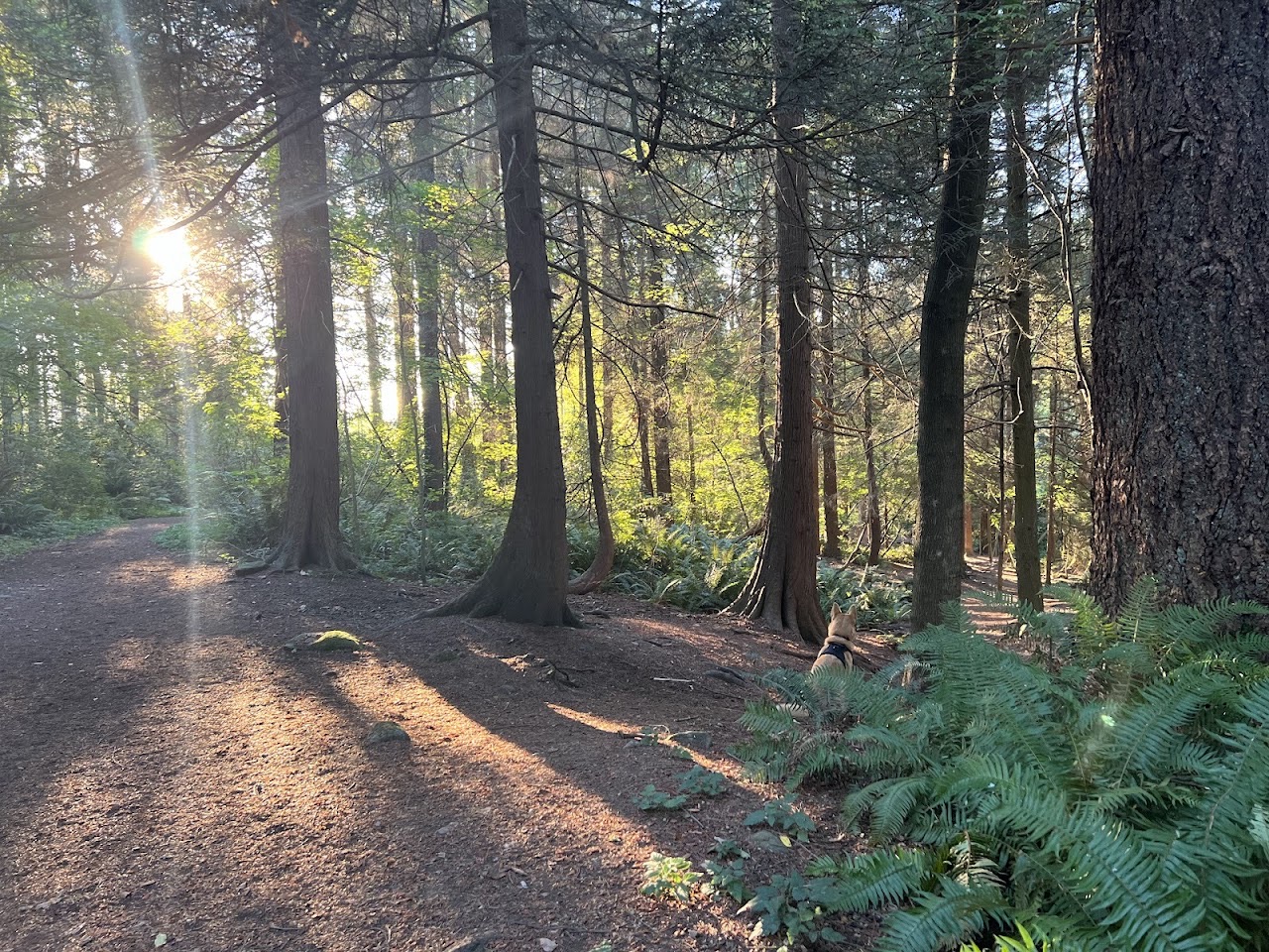Tempe Heights Park, North Vancouver — photo via Google Maps