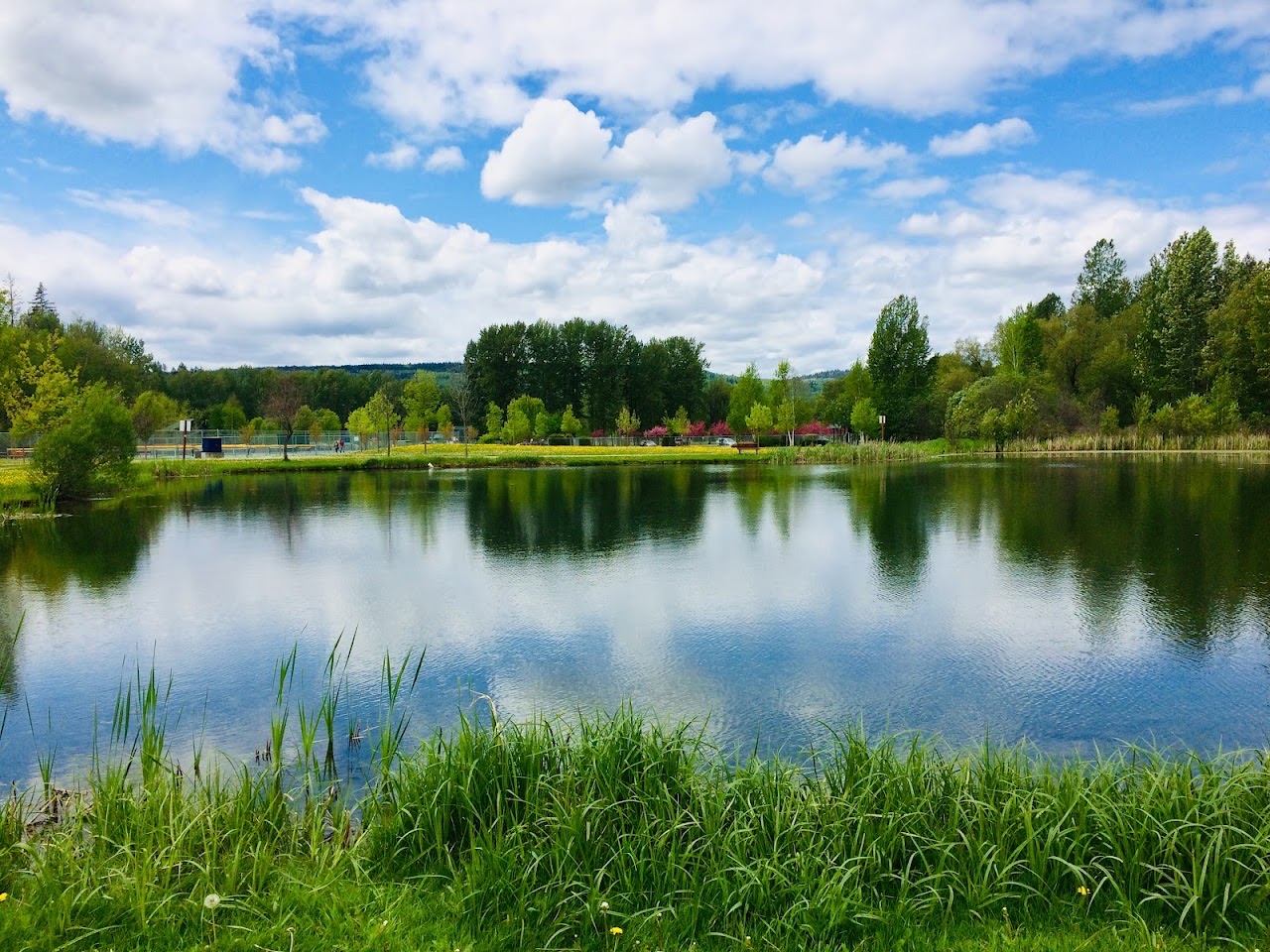 West Fraser Timber Park, Quesnel — additional view via Google Maps