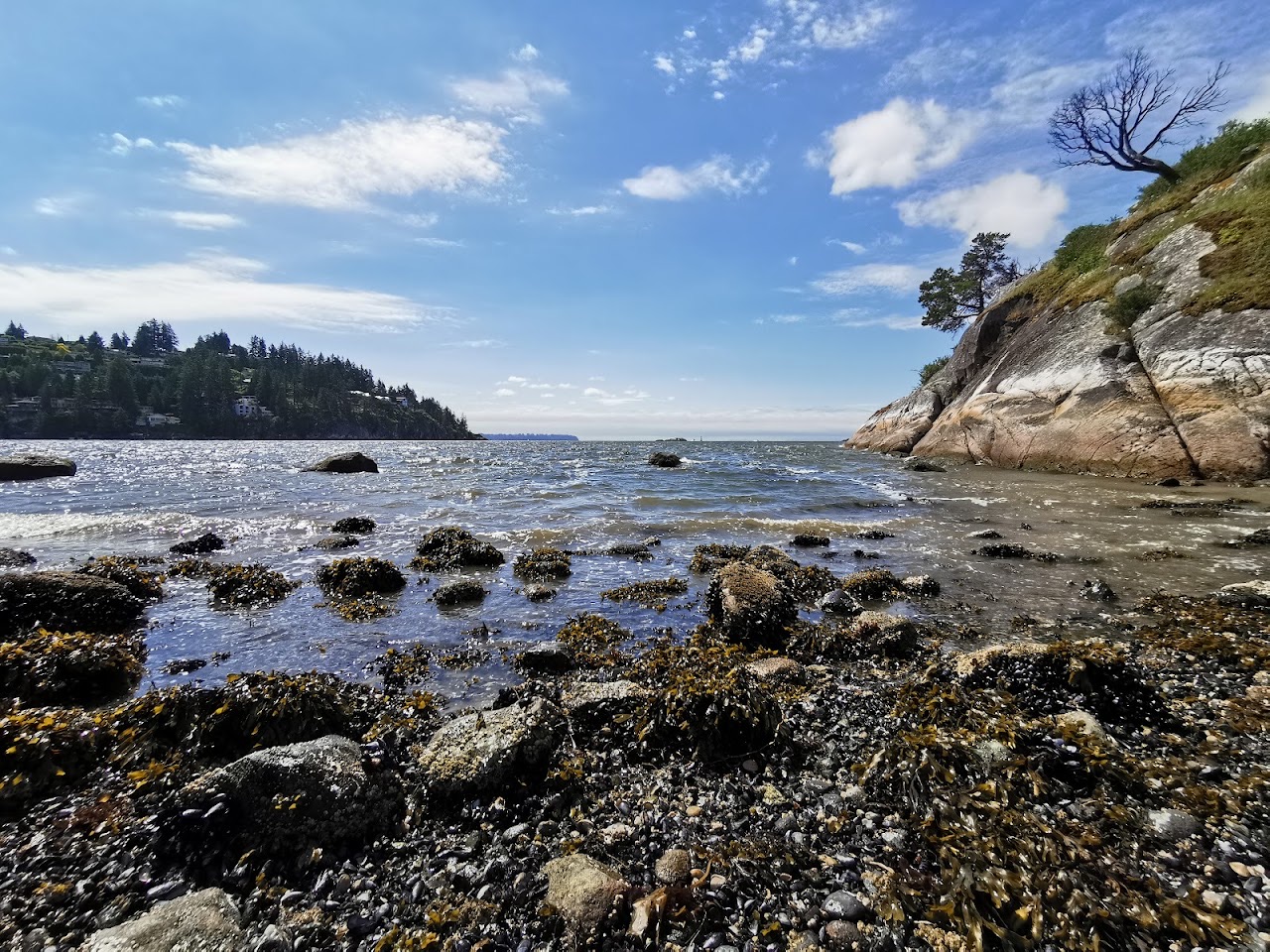Whytecliff Park, West Vancouver — additional view via Google Maps