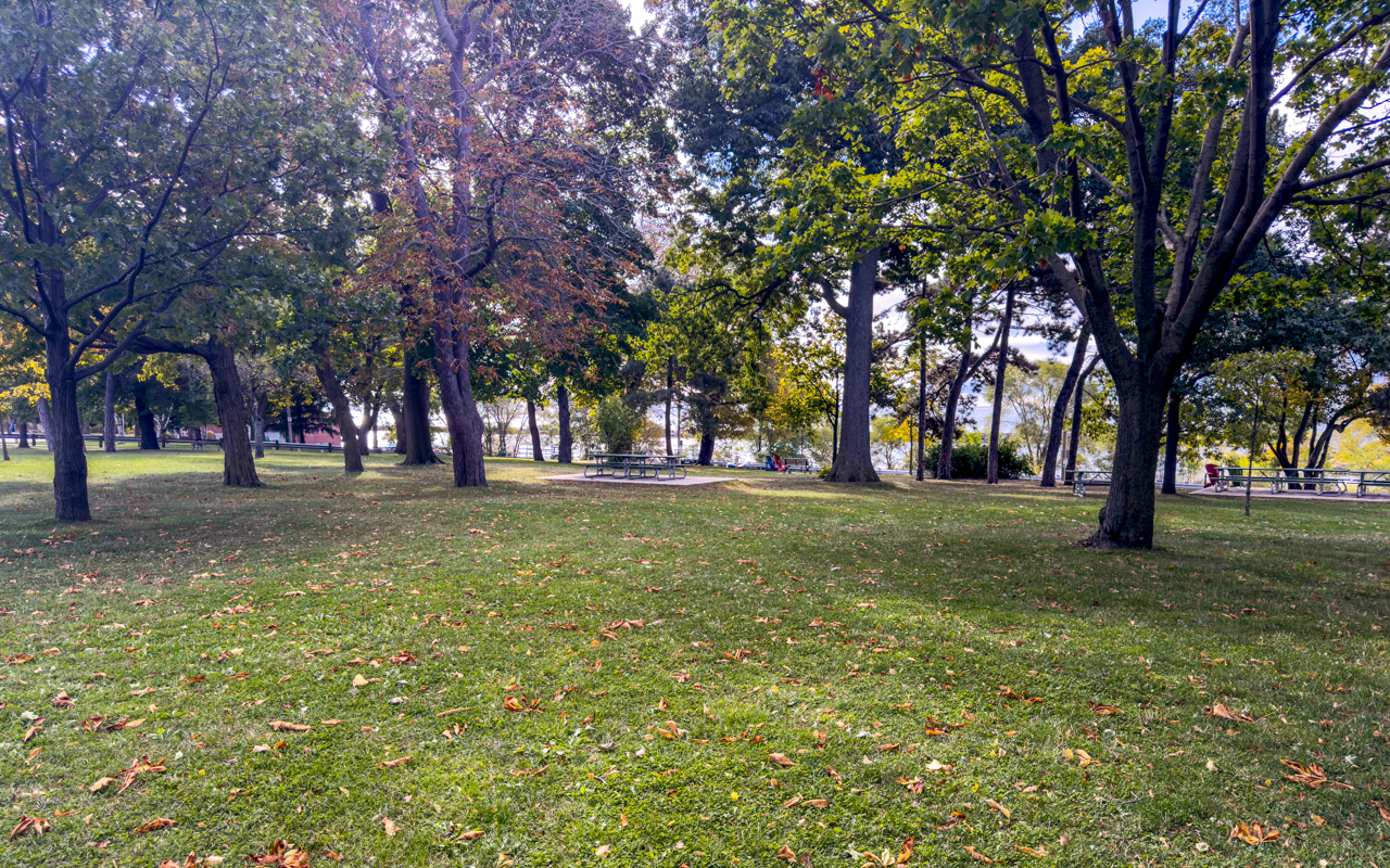 Pickleball play at Lakeshore Boulevard Parklands, Toronto (1)