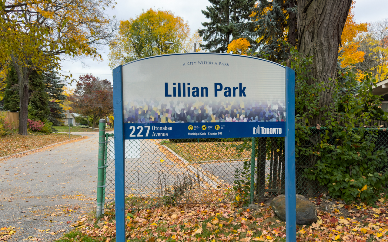 Pickleball play at Lillian Park, Toronto (1)