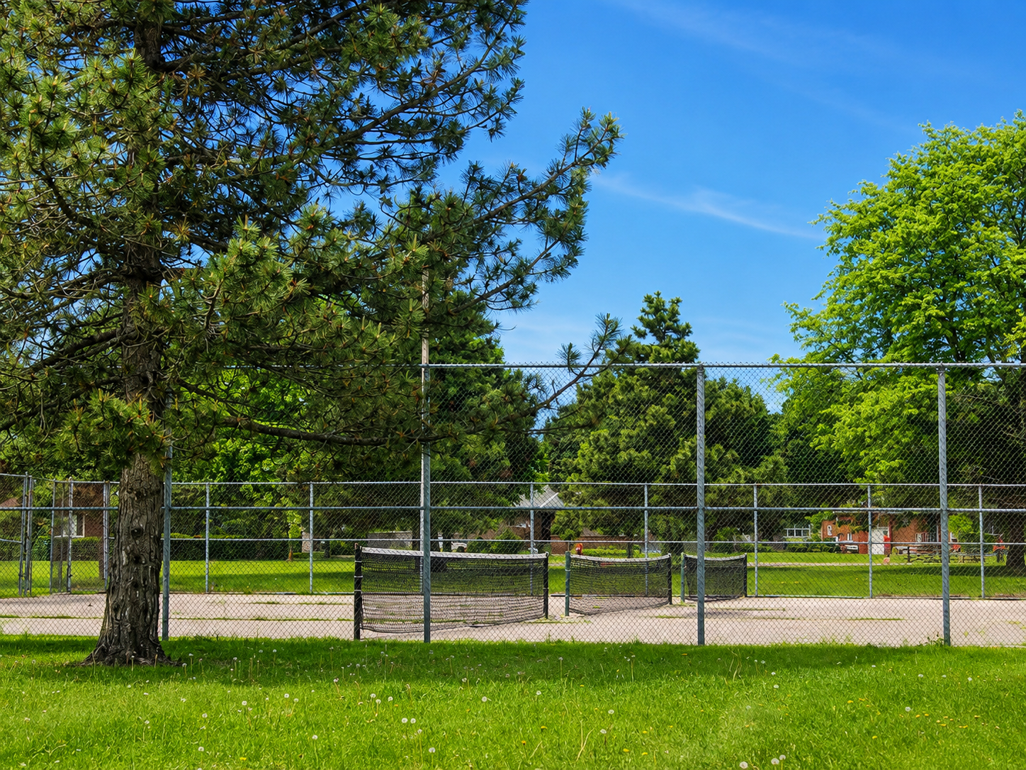Outdoor pickleball courts at Martingrove Gardens Park — empty court overview, Toronto
