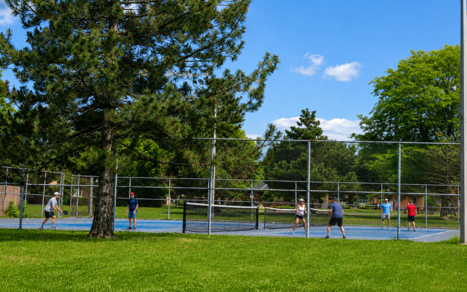 Pickleball play at Martingrove Gardens Park, Toronto