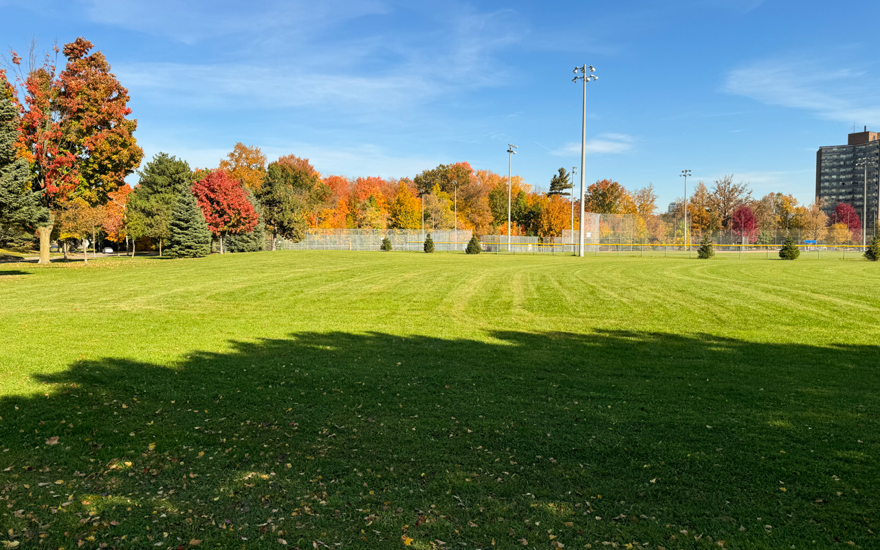 Pickleball play at Millwood Park, Toronto (1)