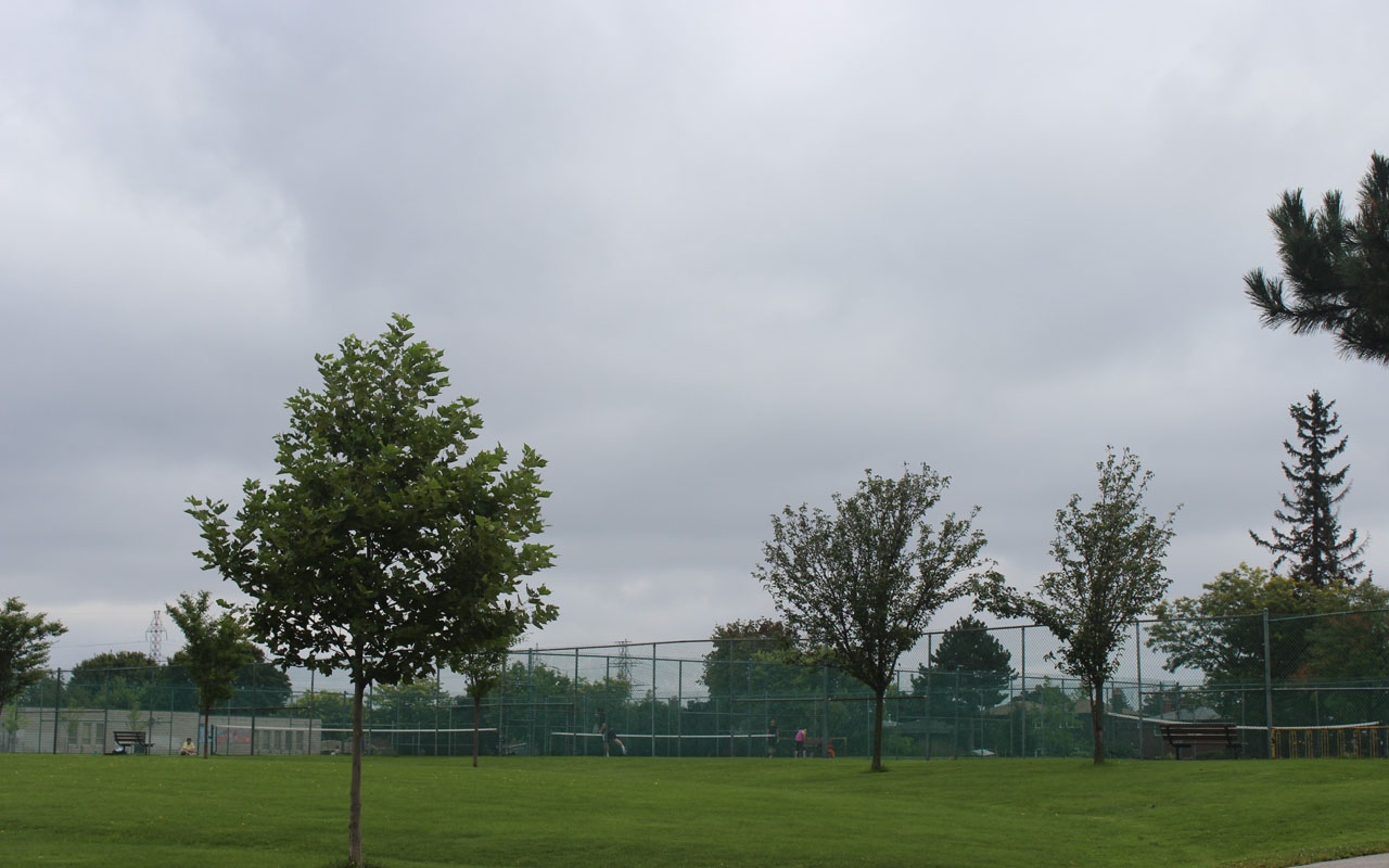 Pickleball play at Shawnee Park, Toronto (1)