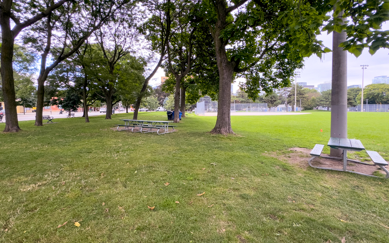 Pickleball play at Stanley Park South - Toronto, Toronto (1)
