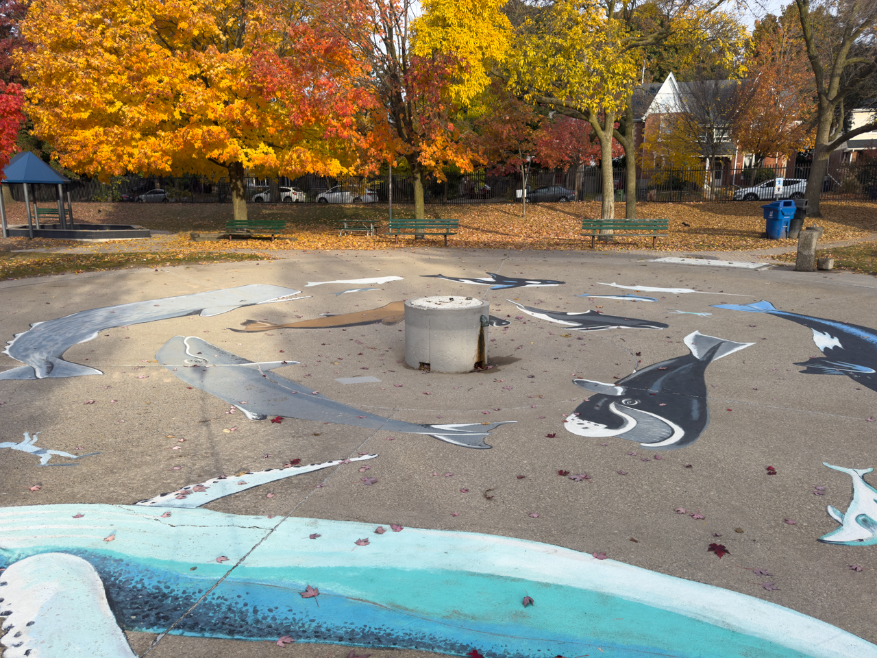 Outdoor pickleball courts at Stephenson Park — City of Toronto park facility