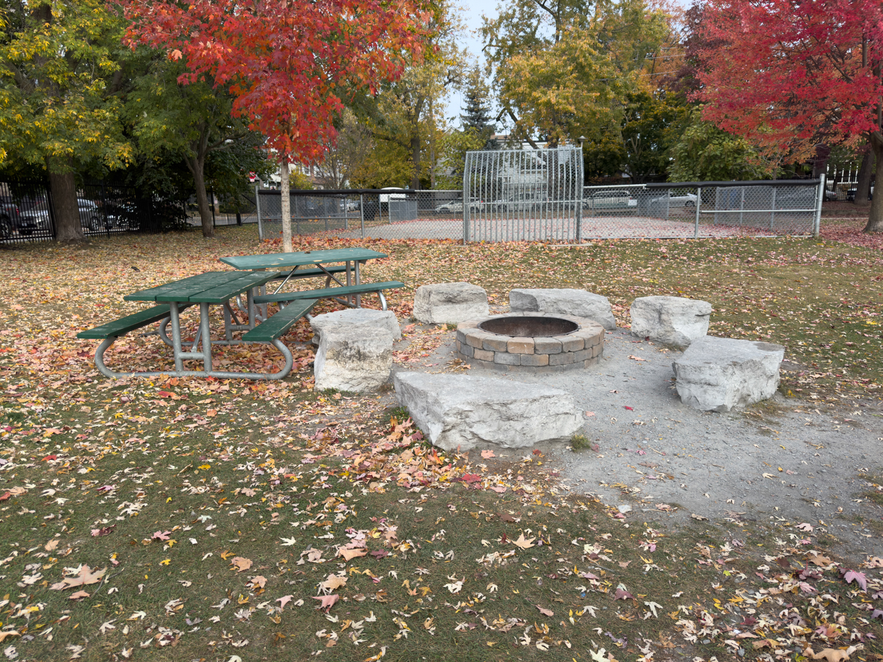 Pickleball play at Stephenson Park, Toronto (1)