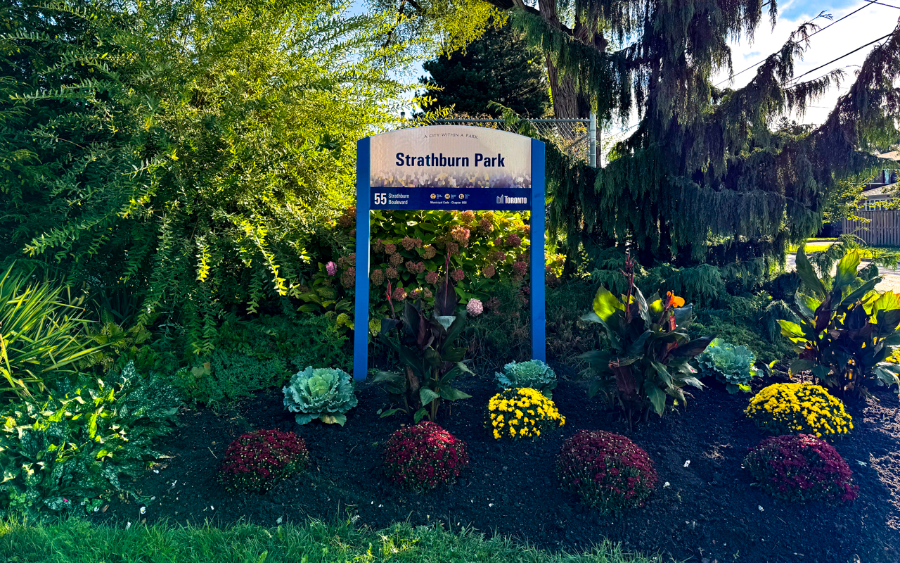 Outdoor pickleball courts at Strathburn Park — City of Toronto park facility