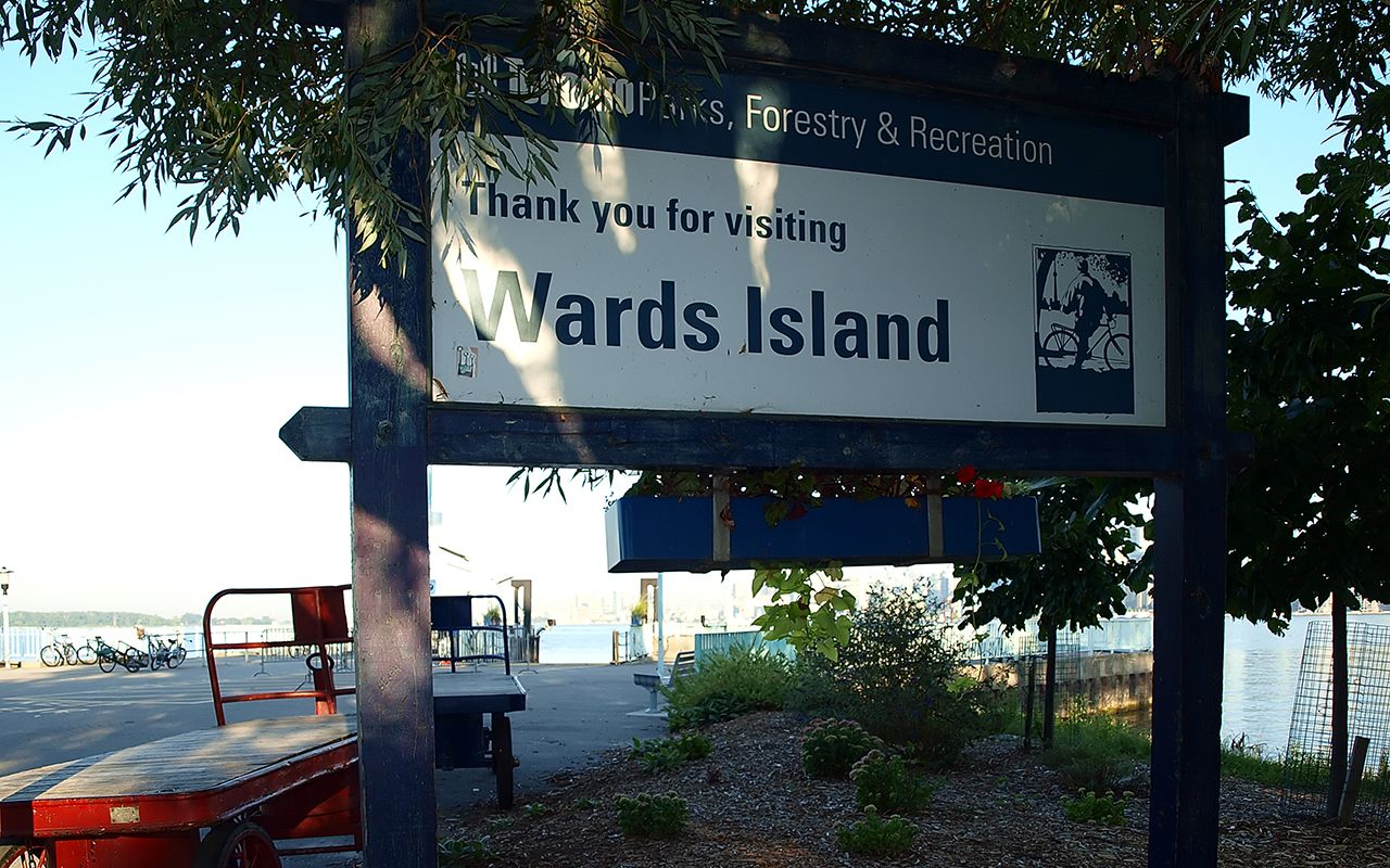 Outdoor pickleball courts at Toronto Island Park - Ward's Island — City of Toronto park facility