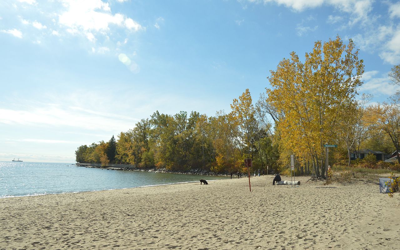 Pickleball play at Toronto Island Park - Ward's Island, Toronto (1)