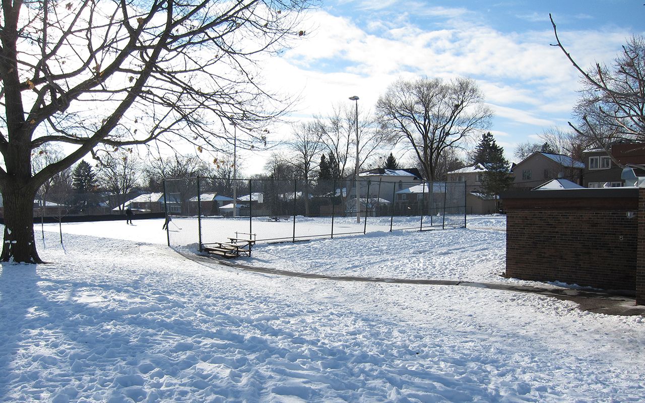 Outdoor pickleball courts at Wedgewood Park - Etobicoke — City of Toronto park facility