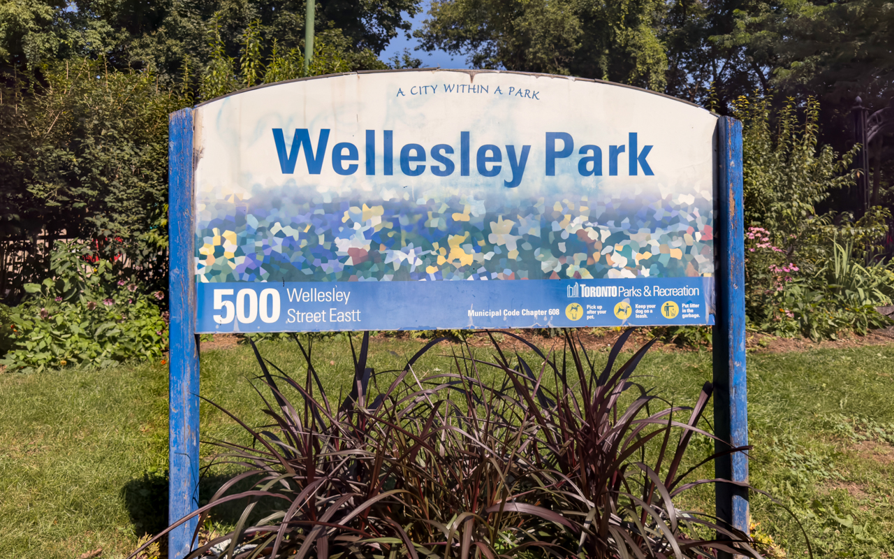 Outdoor pickleball courts at Wellesley Park — City of Toronto park facility