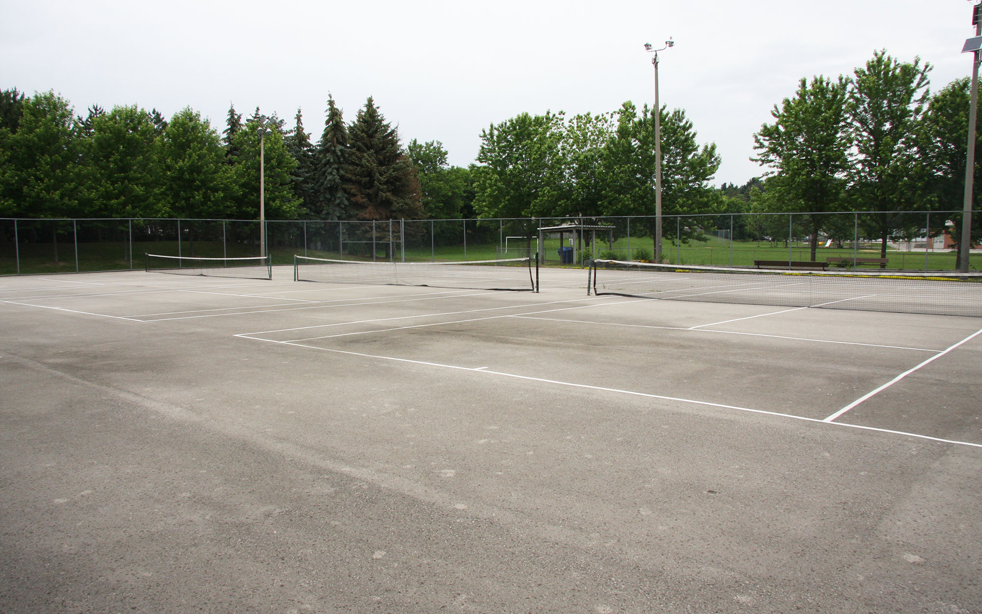 Outdoor pickleball courts at Westmount Park — City of Toronto park facility