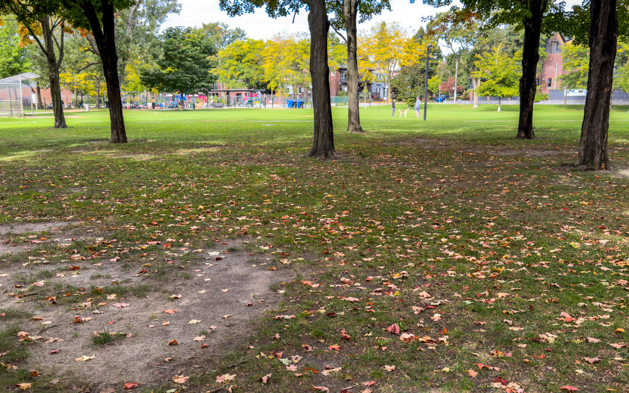 Outdoor pickleball courts at Withrow Park and Clubhouse — City of Toronto park facility