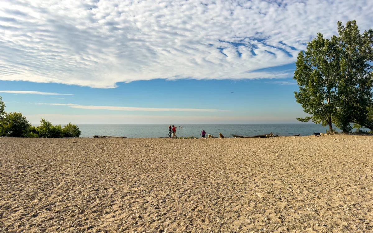 Outdoor pickleball courts at Woodbine Beach Park — City of Toronto park facility