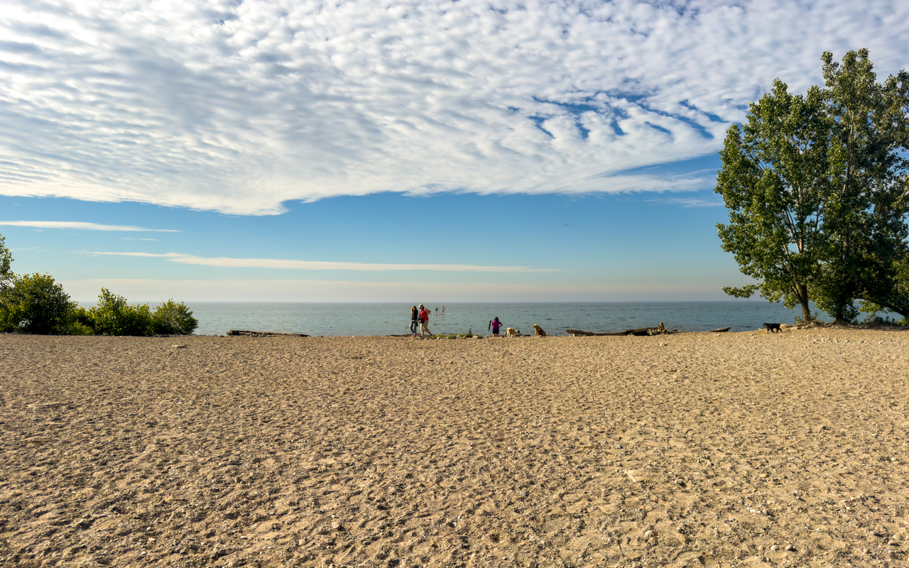 Outdoor pickleball courts at Woodbine Beach Park — City of Toronto park facility